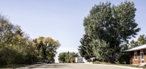 Wide beautiful tree lined streets