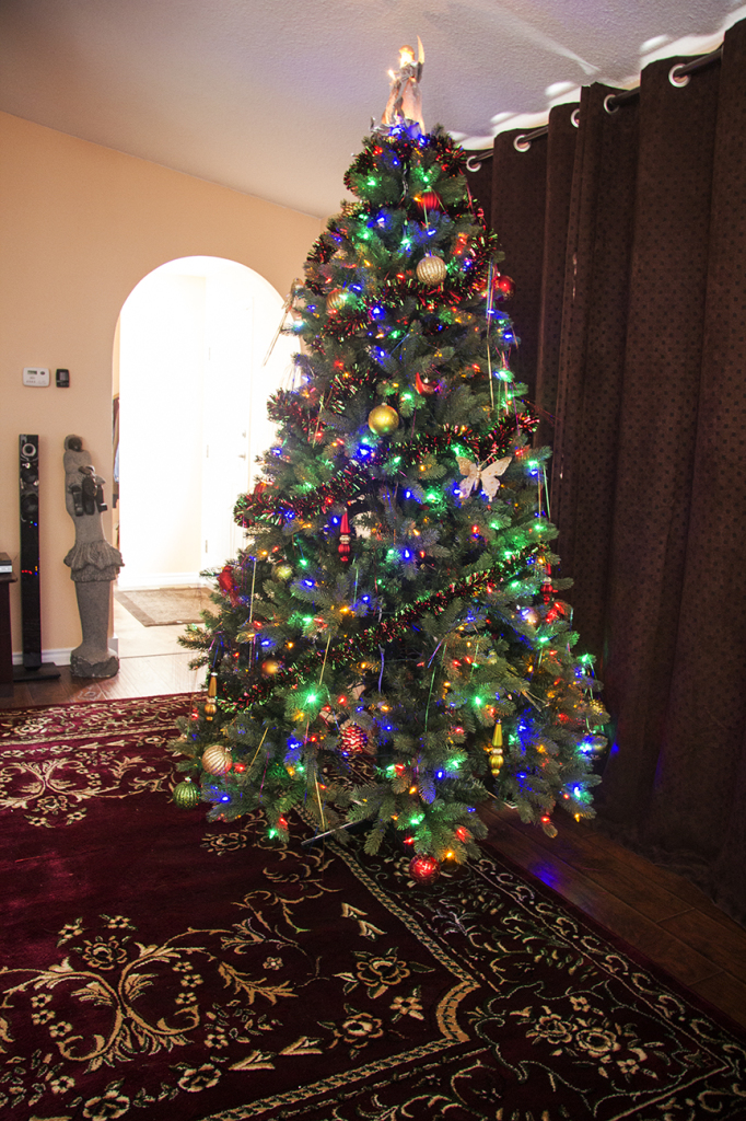 New rug and our Christmas Tree.