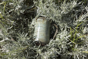 Sage Brush glaze in a sage brush. 